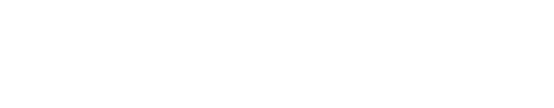 AIG Metropolitana